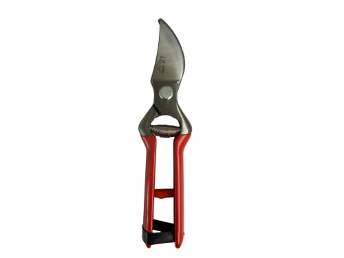 Forbici Pota 21 cm M/plastica RED Man.cuoio – Default Title