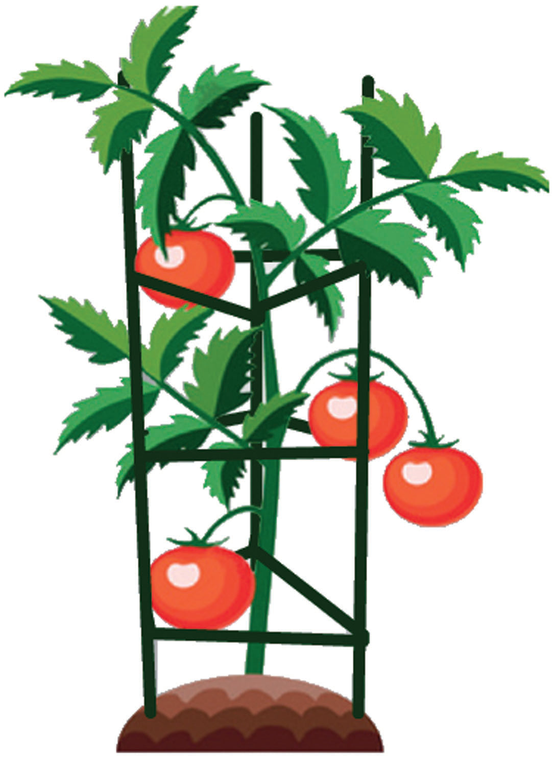 Gabbie per pomodori Brixo Acciaio-pe H.120 cm – Default Title