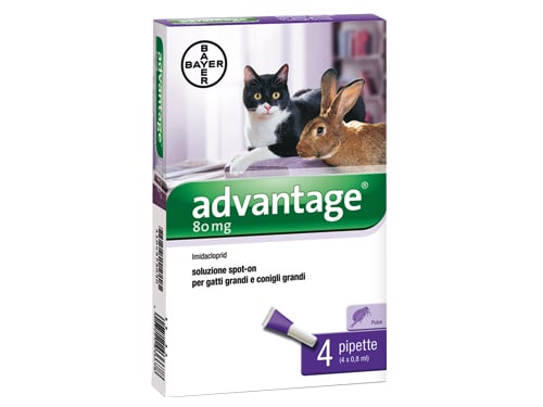 Advantage GATTI>4 kg MG80 confezione da 4 pezzi – cod. 85906348 – Default Title