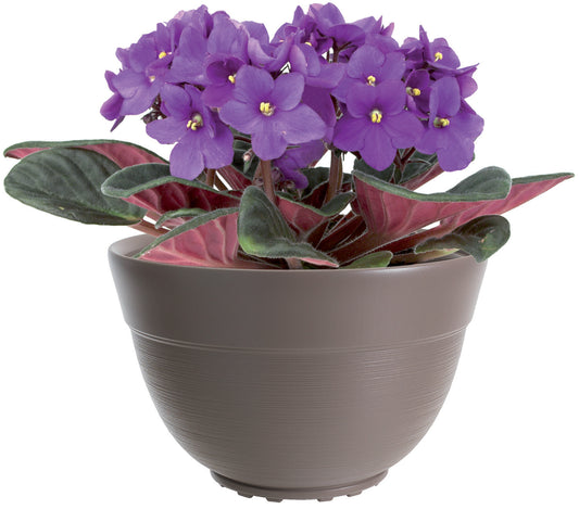 Vasi Conca Dora – Tortora HL.18 cm. Ø 29