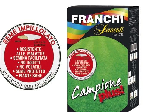 Semi Prato Campione Plus 1 kg – Default Title