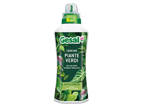 Concime Liquido Gesal Piante Verdi 750 ml – Default Title