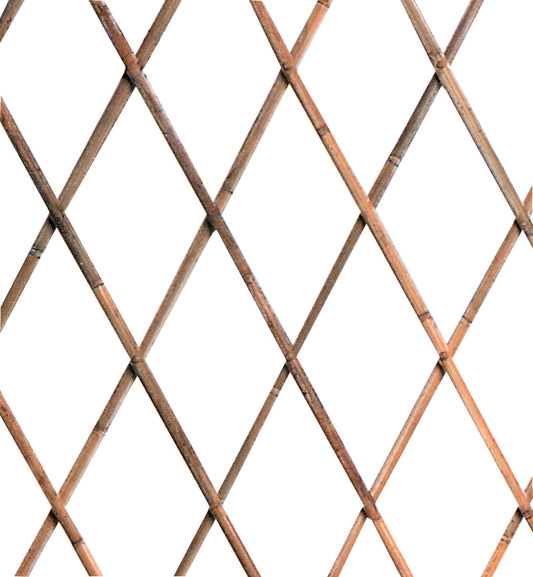 Tralicci Bambu' – 180 × 240 cm