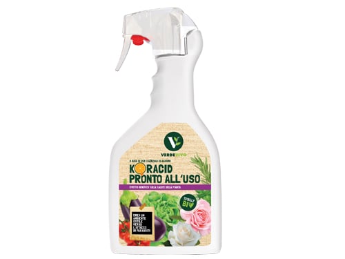 Insetticida Koracid 750 ml. -VV231005 – Default Title