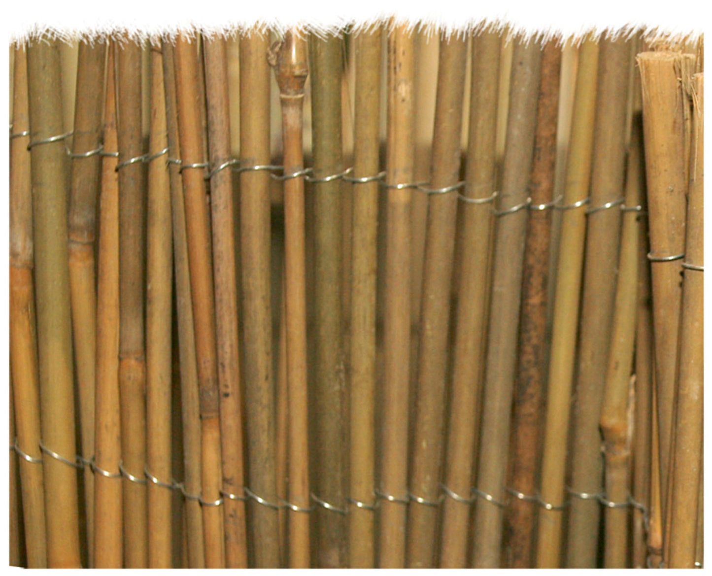 Arelle Brixo Mister Bambu – 150X300CM