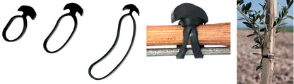 Legacci Ancorette elastiche Bandofix