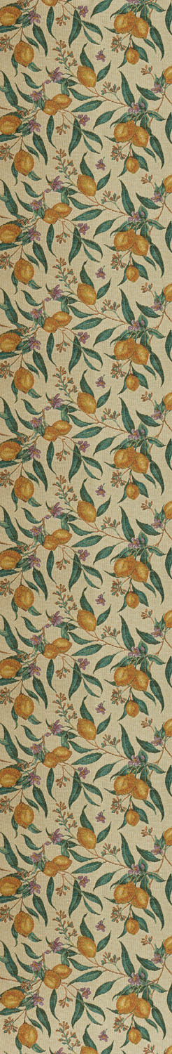 Passatoie Patch – Hl. 52 Fantasia Vitamina