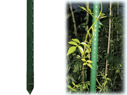 Tutori per piante Brixo in Acciaio-pe – 8MMX75CM