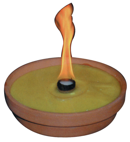 Ceri Citronella Coccio – Midi 15 cm