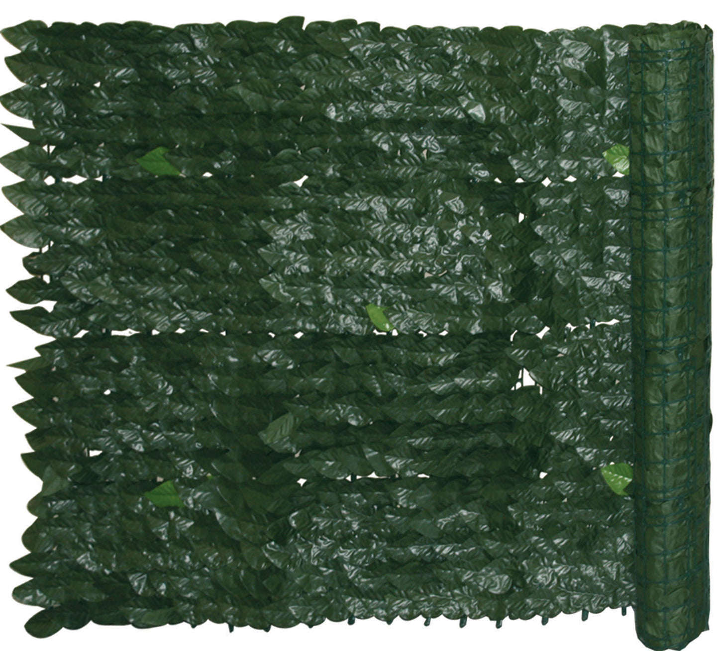 Siepe Evergreen Brixo Edera – 1,5 × 3 m