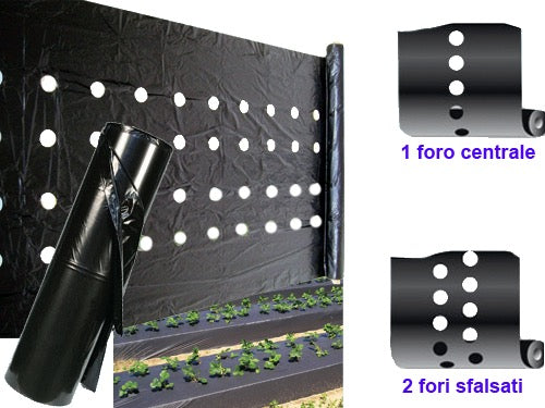 Foglia Nera altezza 1,20 – 1 Foro Centrale 30/30
