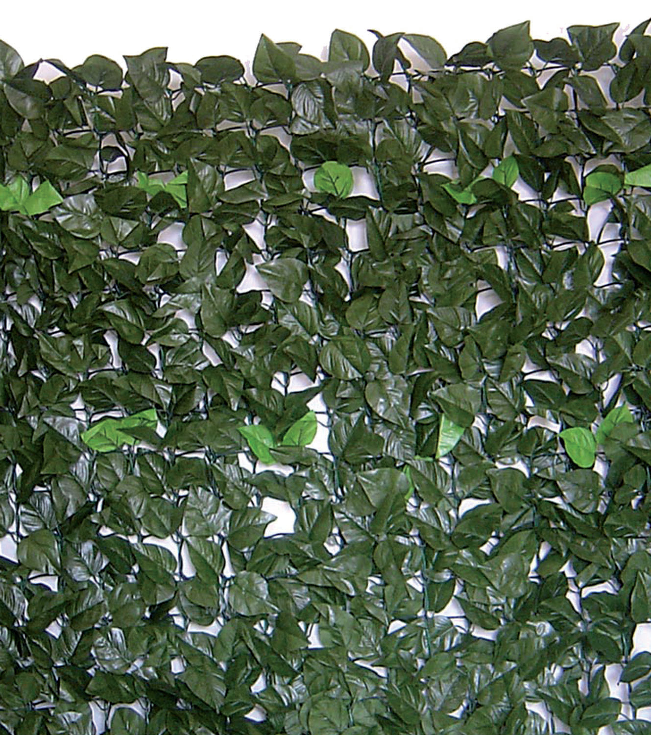 Siepe Evergreen Brixo Lauro – 1 × 20 m