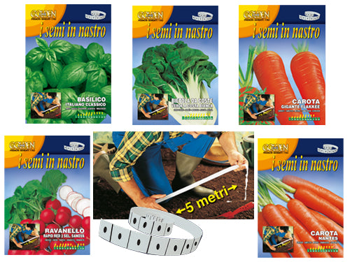 Semi a Nastro – Basilico Italiano -GLST13/2