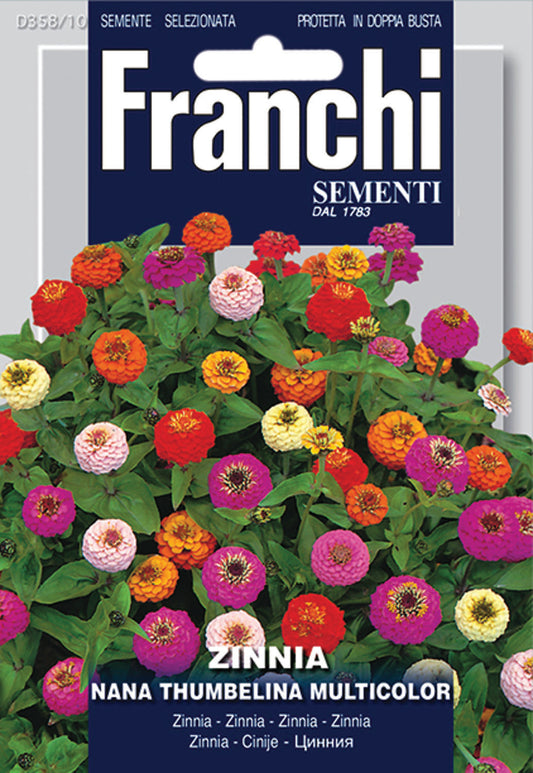 Semi Zinnia Nana 358/10 – Default Title