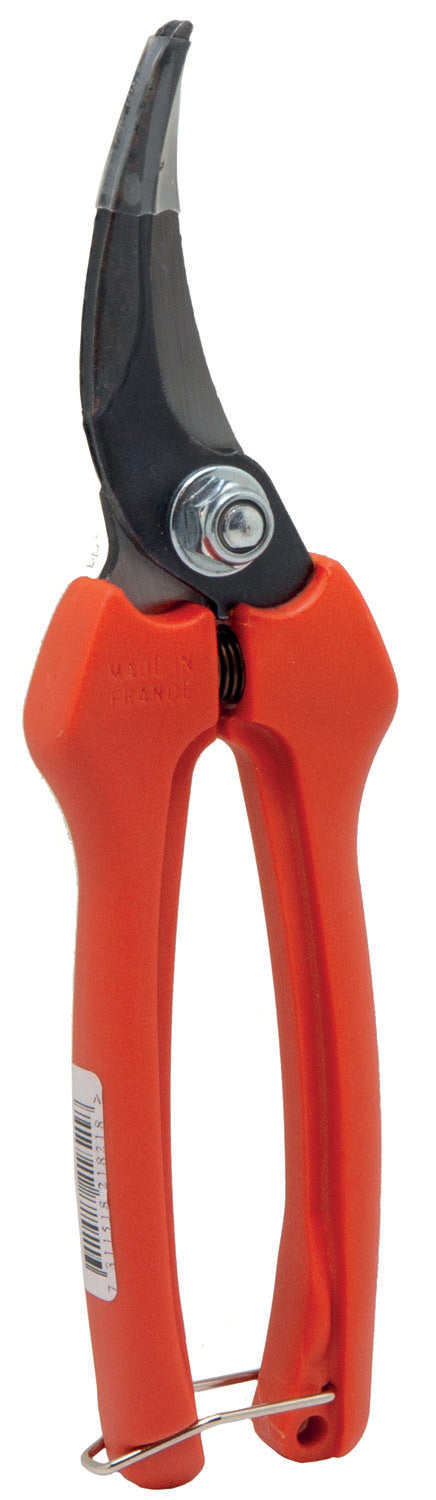 Forbici Pradines per uva Lam.curva P123-19 – Default Title