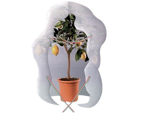 Tessuto non tessuto brixo Agrithermo Mantello 320X160CM – Default Title
