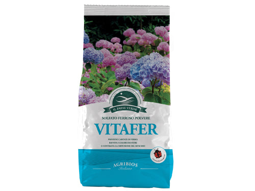 Solfato Ferroso Vitafer. 1 kg – cod. 72051 – Default Title