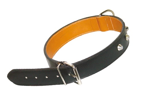 Collari Cuoio Natural.borchiato 40 × 75 mm – Default Title