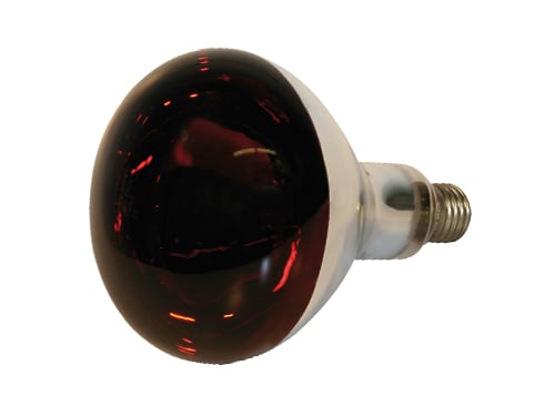 Lampade Infrarossi 150W Vetro Duro Rosso – Default Title