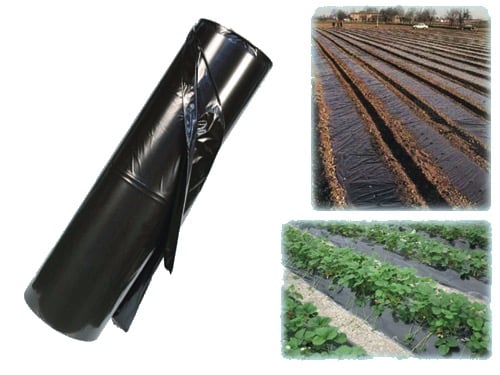 Foglia Pacciamatura Nera 1,2 m – Default Title