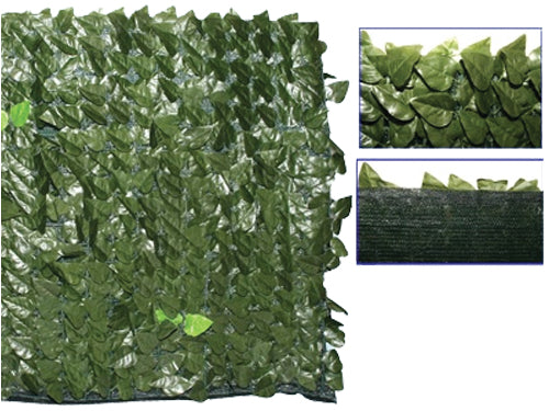 Siepe Evergreen Brixo Lauro – Osc. 1 × 3 m