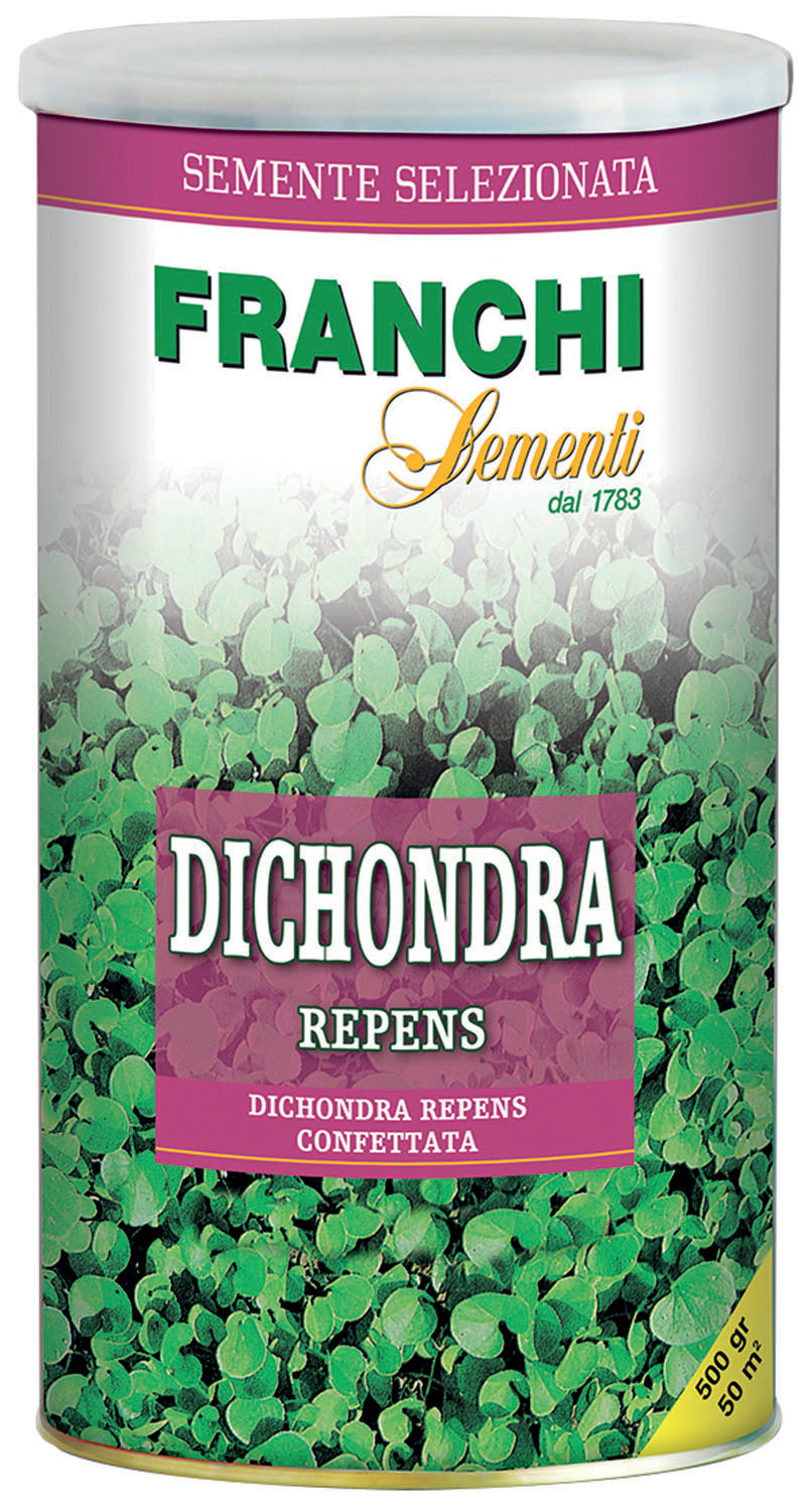 Semi Prato Dichondra – 500 g