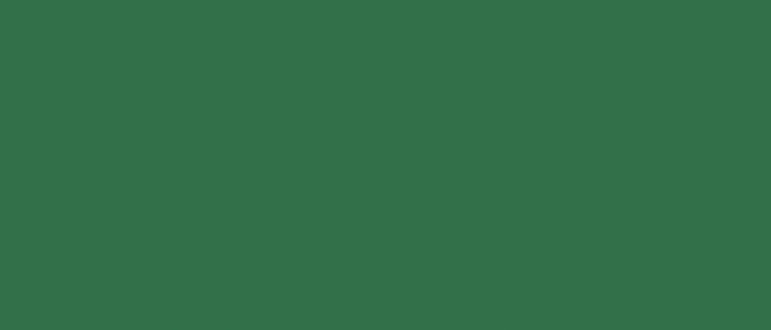 Plastica Ad.verde Lucida 20 m – cod. 5671.10 – Default Title