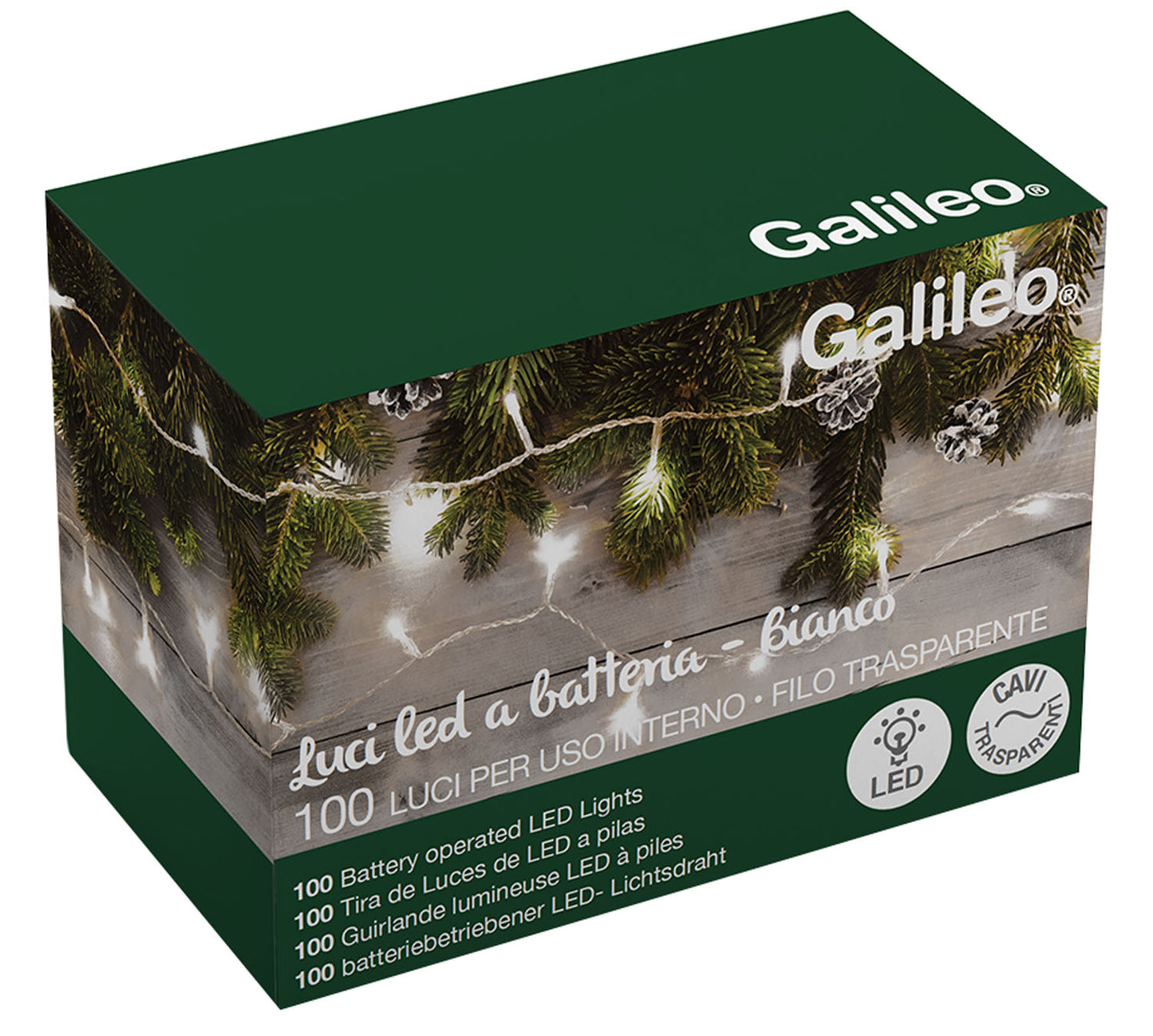 Luci Natale – 100 LED X Int.batteria Bianco