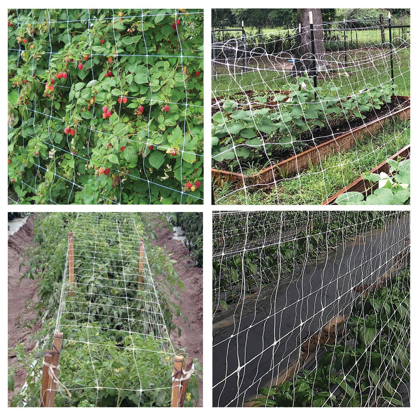 Rete Brixo Ortonet H170 rotolo da 30 m – Default Title