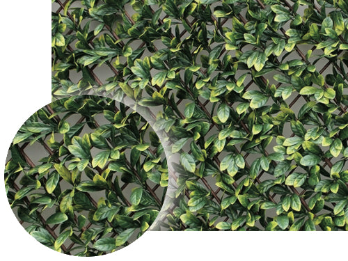 Siepe Panelgreen Brixo TRELLIS100X200CM – Default Title