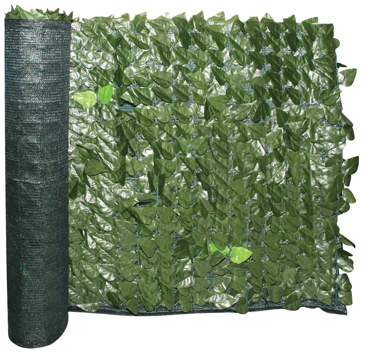 Siepe Evergreen Brixo Lauro – OSC.1,5 × 3 m