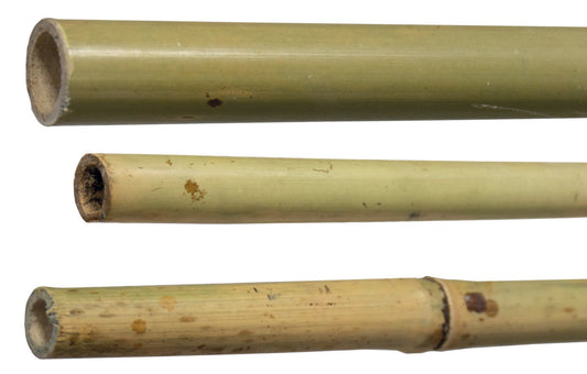 Canne Bambù H210CM Ø 24/26 mm Hq – Default Title