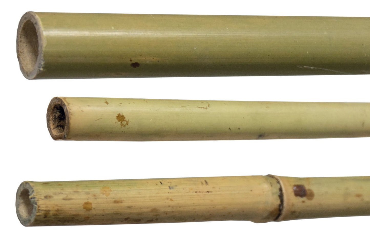 Canne Bambu' H180-Ø 22/24 mm Hq – Default Title