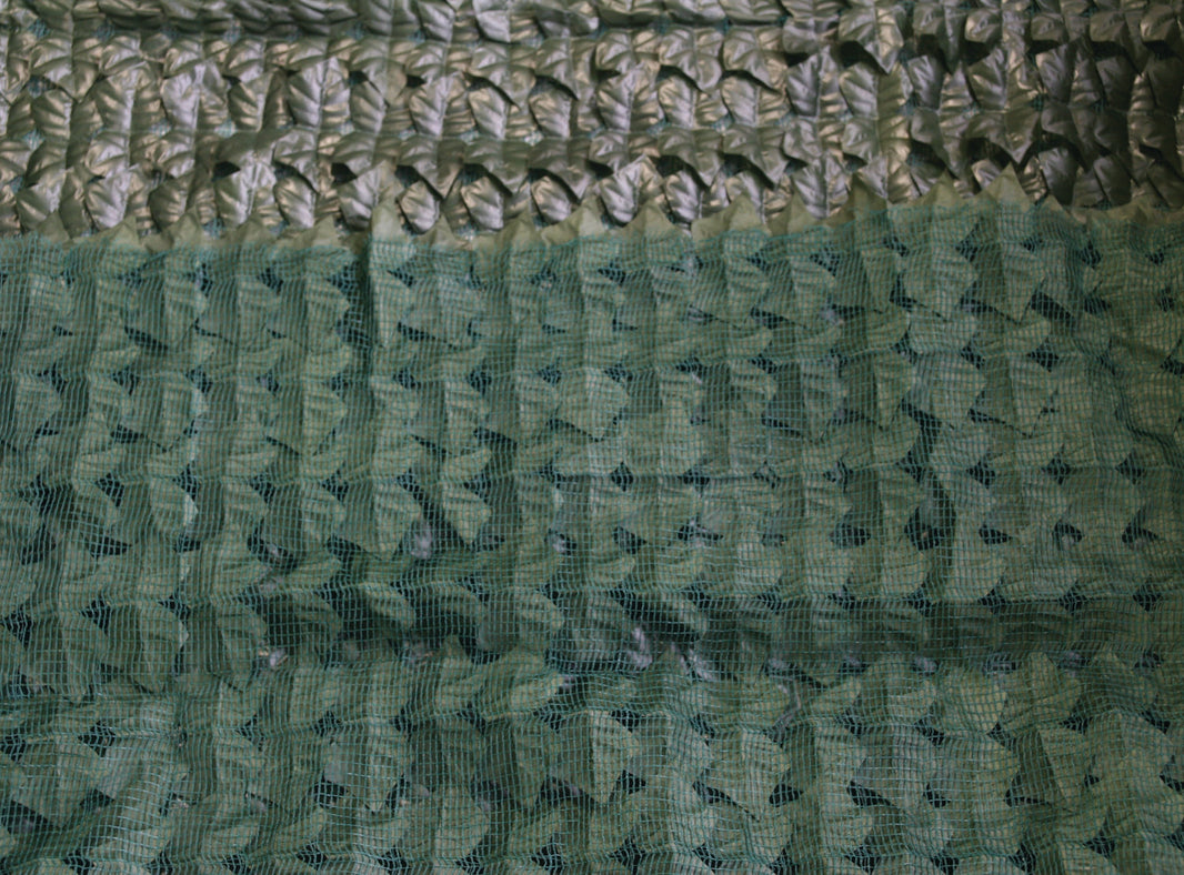 Siepi Brixo Edera Basic