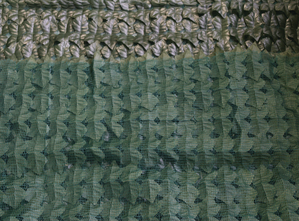 Siepi Brixo Edera Basic