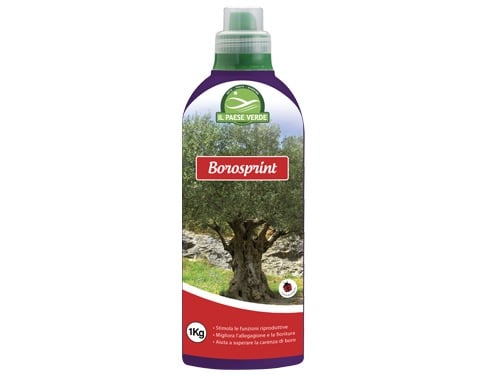Concime Liquido Borosprint 1 kg H16006 – Default Title
