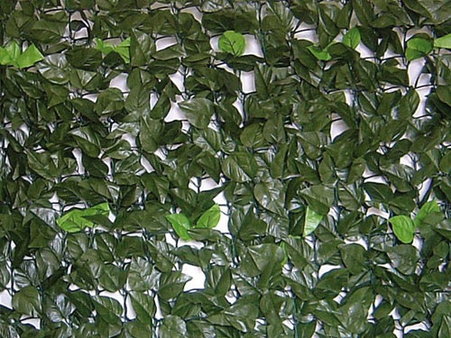 Siepe Evergreen Brixo Lauro – 1 × 3 m